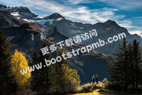 ⊞ Portfolio - 九球体育直播APP