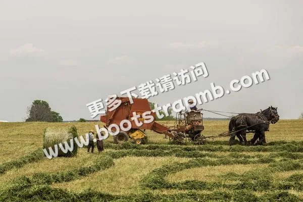 ⊞ Portfolio - 九球体育直播APP