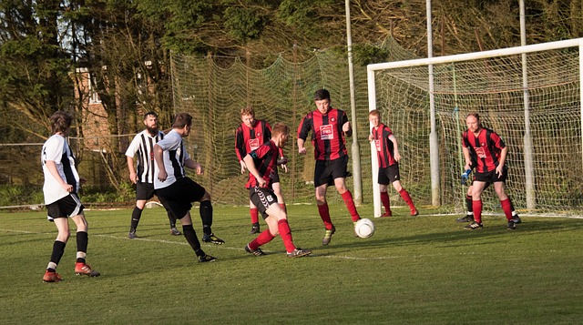 布鲁克林篮 布鲁克林篮