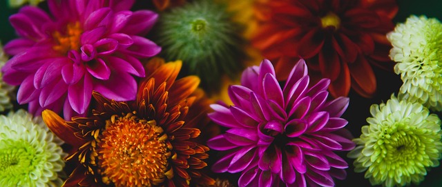 也展现了极 也展现了极