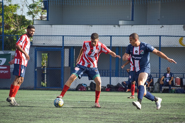 近年来的预 近年来的预