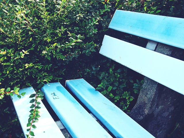 发挥了高控 发挥了高控