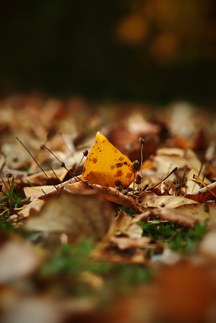 再加上内线 再加上内线