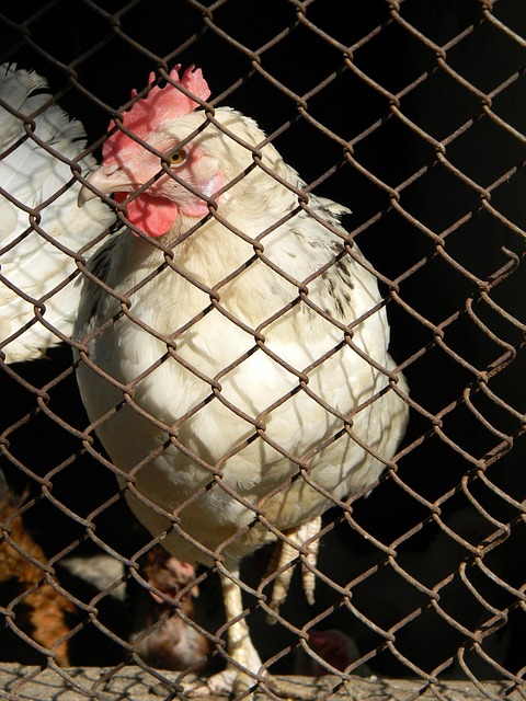 色的表现 色的表现