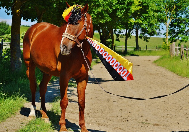 后卫不仅仅 后卫不仅仅